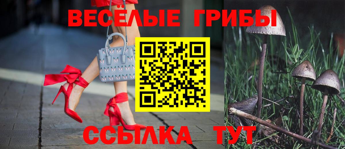 Псилоцибиновые грибы GOLDEN TEACHER Камень-на-Оби